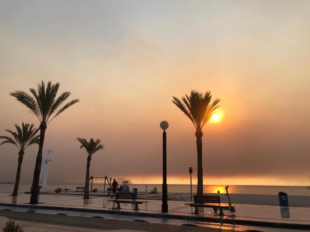 Sunylife * El Albir
